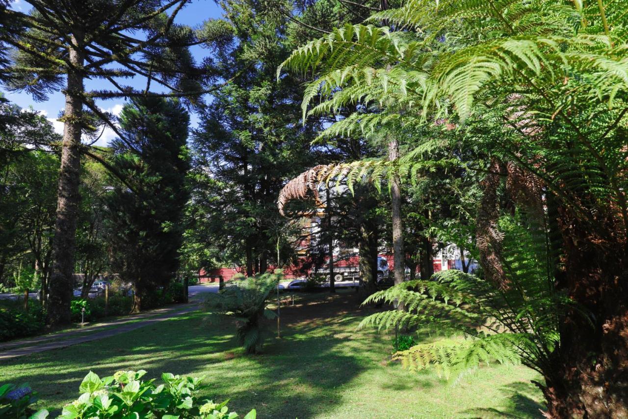 Vila Pousada Serra Gramado Exteriér fotografie